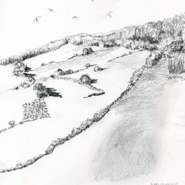 Swallows in May