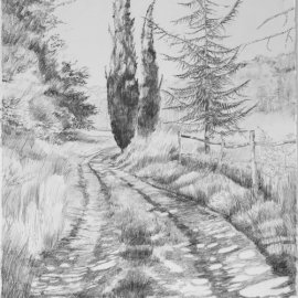 New Drawing 5